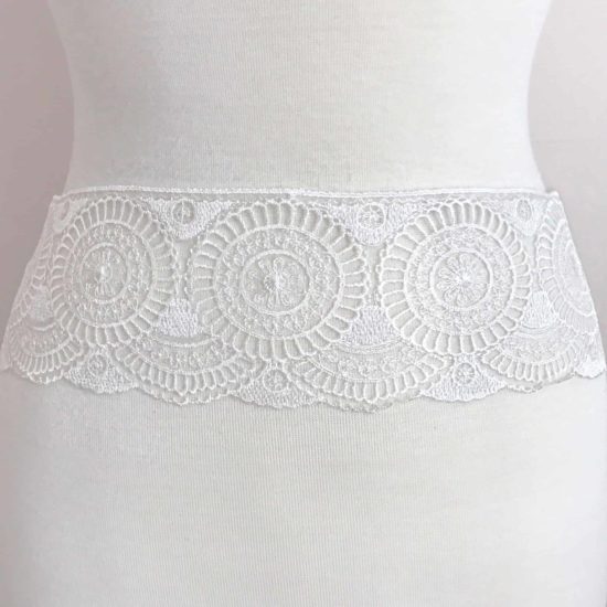 Embroidered Lace on Tulle Border Trim